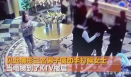 西湖联动园丁爆料事件视频,揭秘事件背后真相