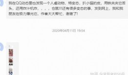 qq视频爆料,热门事件背后真相曝光