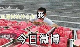 吃瓜大全爆料视频下载,独家爆料视频下载全攻略