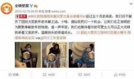 爆料娱乐圈真实事件的书,揭秘那些被隐藏的真实事件