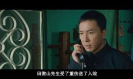 叶问粤语版在线观看,宗师传奇，拳拳到肉，热血激战