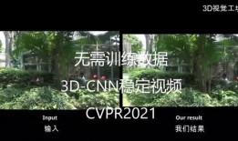 西湖联动园丁爆料事件视频,揭秘事件背后真相