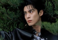 王鹤棣大瓜最新爆料视频,娱乐圈惊人内幕曝光