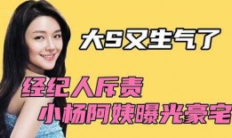 大s前经纪人爆料视频,视频揭秘娱乐圈不为人知的一面