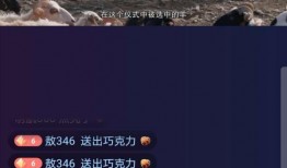 知情人爆料鲶鱼视频播放,鲶鱼视频播放背后的惊人真相