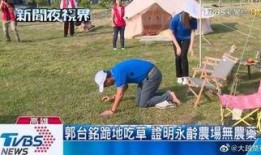 女子向记者爆料新闻视频,揭秘背后惊人真相