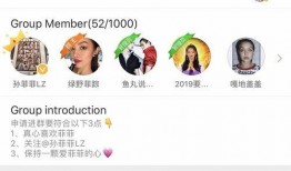 q群吃瓜群免费,免费畅享娱乐盛宴的神秘世界