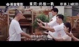 叶问粤语版在线观看,宗师传奇，拳拳到肉，热血激战