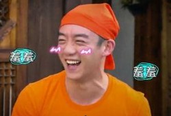 郑恺被朋友爆料了嘛视频,郑恺被朋友爆料视频引发热议