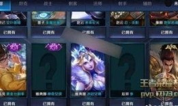 皮肤优化最新爆料有哪些,揭秘最新爆料亮点