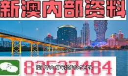 澳门爆料最新,揭秘最新热点事件背后的真相