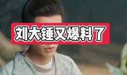 刘大锤爆料董洁视频播放,引发网友热议