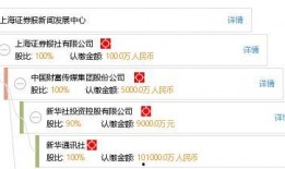 上海证券报新闻爆料电话,揭秘金融圈幕后黑幕