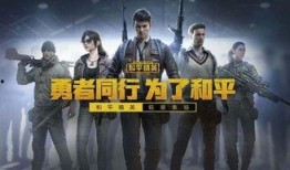 吃鸡爆料吐槽视频合集下载,揭秘游戏幕后真相与玩家心声