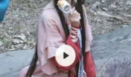 白鹿爆料视频大全集,揭秘娱乐圈幕后真相