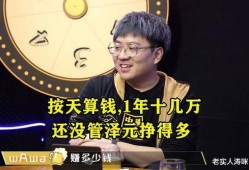 真言夫妇爆料视频在线观看,揭秘娱乐圈背后的惊人真相