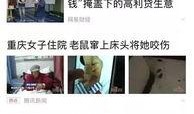 新闻爆料费什么时候给,揭秘幕后真相