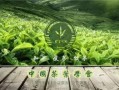 中国茶叶爆料视频最新版,传承与创新共舞