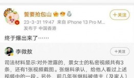 风景哥再次爆料视频播放,视频播放背后的惊人真相揭秘