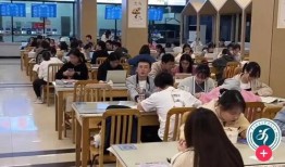 学校食堂爆料视频,校园美食背后的故事