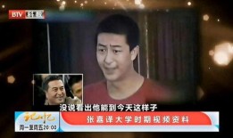 爆料主播素材视频大全集,素材视频大全集深度解析