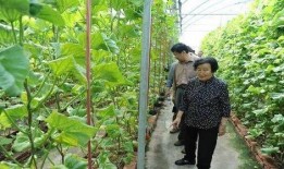 网红吃瓜推特号是什么,揭秘娱乐圈幕后真相！”