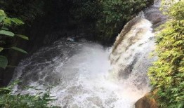 网友爆料山洪视频大全集,惊心动魄的山洪视频大全集