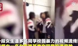 天涯爆料蒋艳被打视频,天涯爆料引发热议