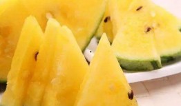 黑网料吃瓜网地址免费下,免费下载背后的真相与风险