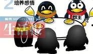 q群吃瓜群免费,免费畅享娱乐盛宴的神秘世界