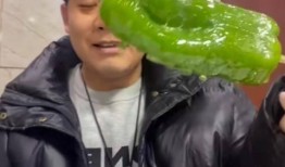 网红吃瓜胖子图片大全大图,趣味横生的视觉盛宴