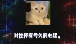 娱乐吃瓜718快乐,娱乐吃瓜盛宴，揭秘娱乐圈幕后故事