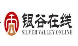 银谷在线最新爆料,揭秘金融科技巨头背后的秘密