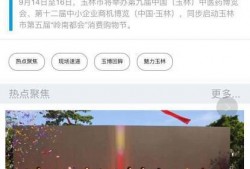 今日揭西爆料新闻直播视频,最新爆料事件回顾与解读