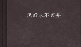 永不言弃在线观看,逆境中的坚韧与奋斗