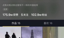 没视频能爆料吗抖音号,没视频爆料的神秘魅力