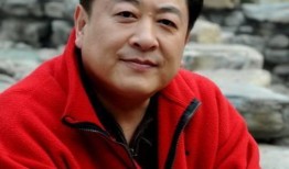 王宝强爆料刘斌视频播放,一场娱乐圈的悬疑大剧