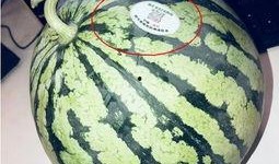 网红们的吃瓜,揭秘娱乐圈幕后故事
