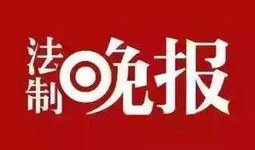 广田股份爆料新闻最新,揭秘公司重大转型与市场动向